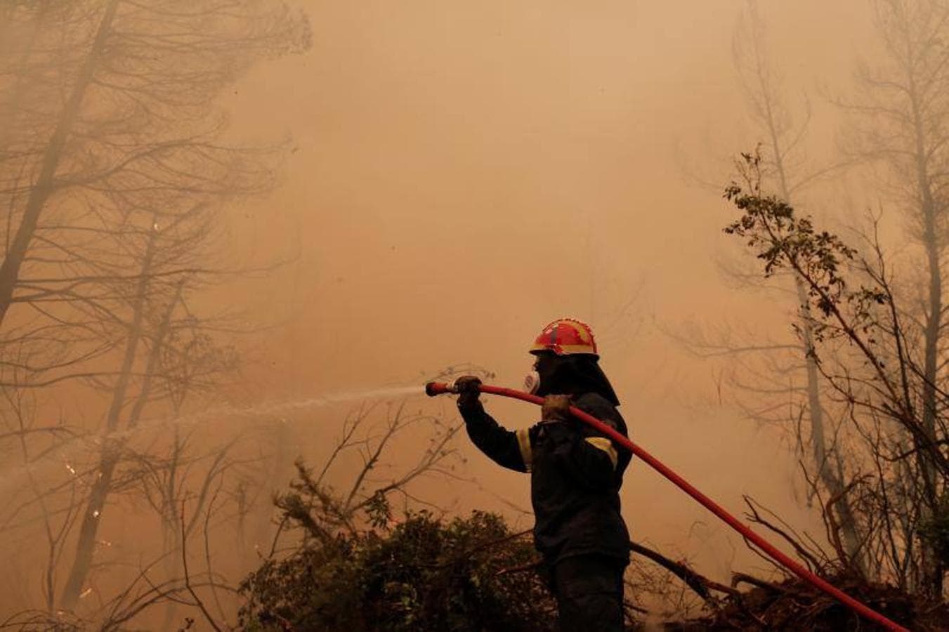 Un bombero combate las llamas durante un incendio forestal en el pueblo de Istiaia en la isla de Evia. 