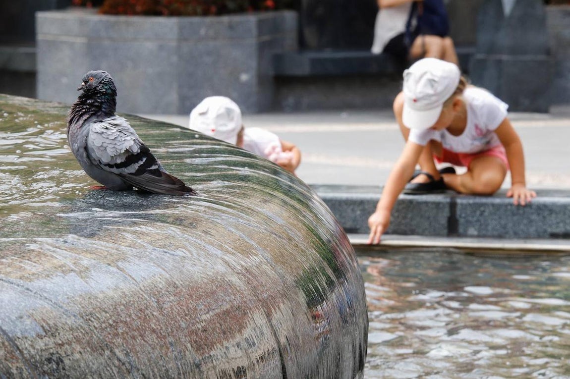 En imágenes, Córdoba se prepara para la gran ola de calor del verano