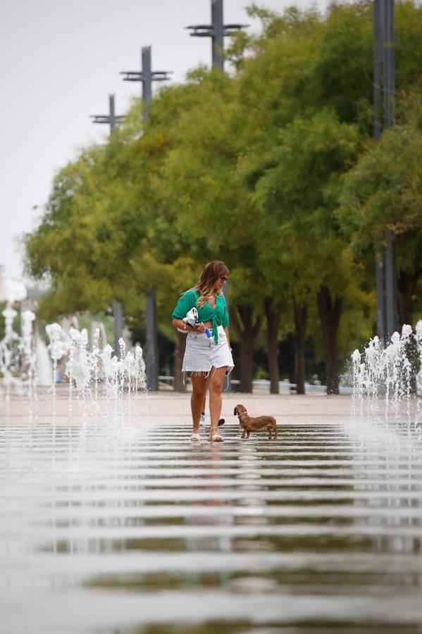 En imágenes, Córdoba se prepara para la gran ola de calor del verano