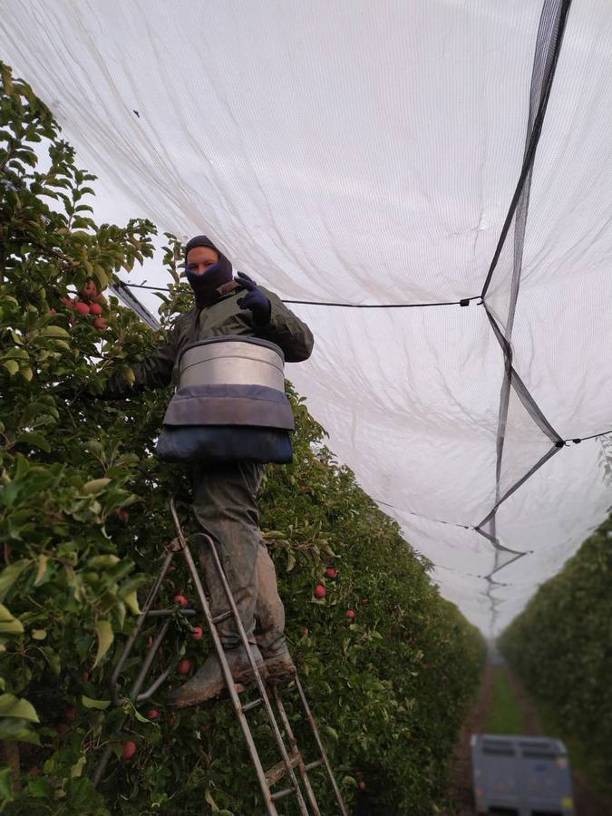 Los temporeros gaditanos parten a la vendimia en Francia