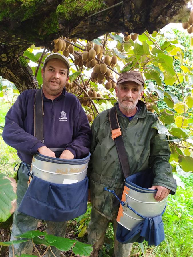 Los temporeros gaditanos parten a la vendimia en Francia