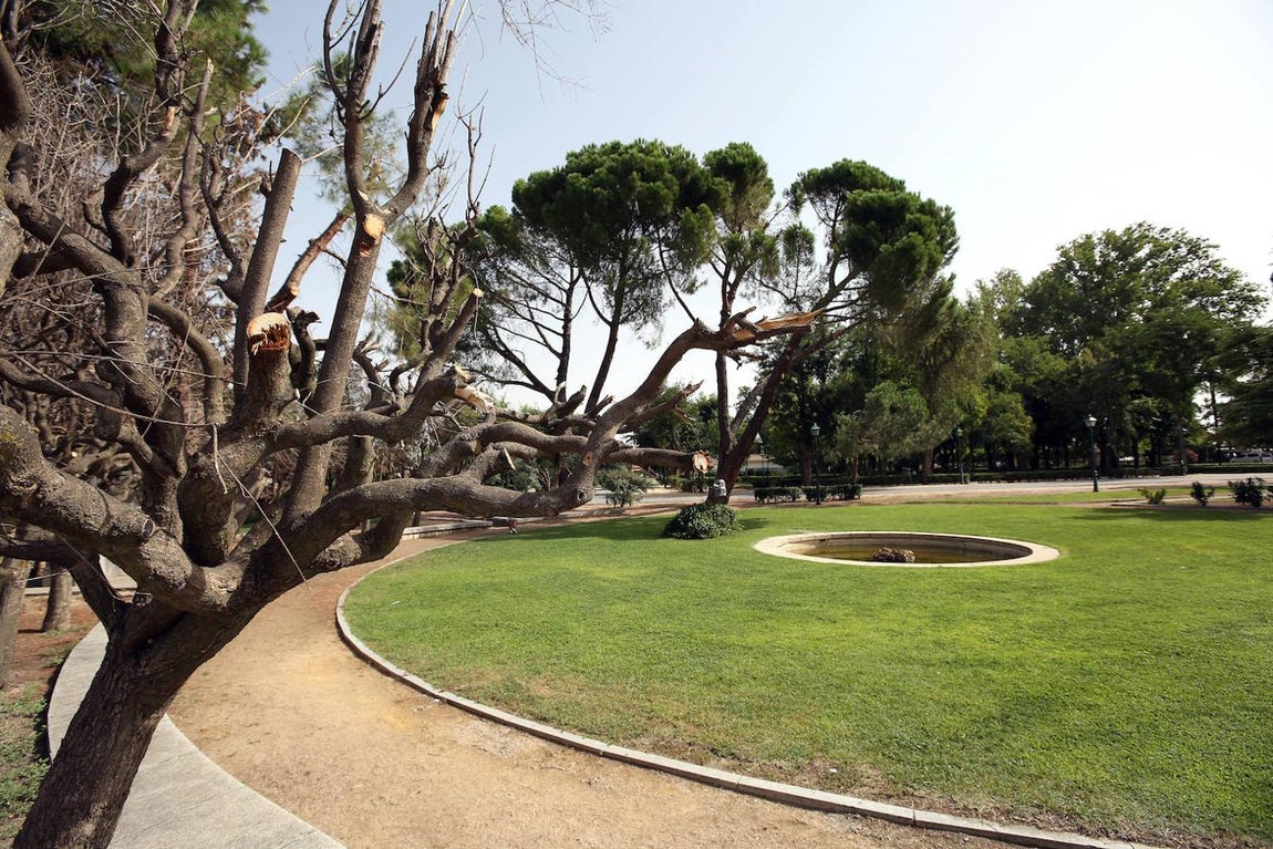 El Paseo de la Vega, en imágenes