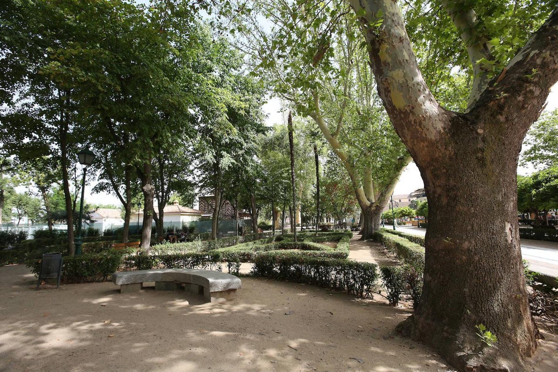 El Paseo de la Vega, en imágenes