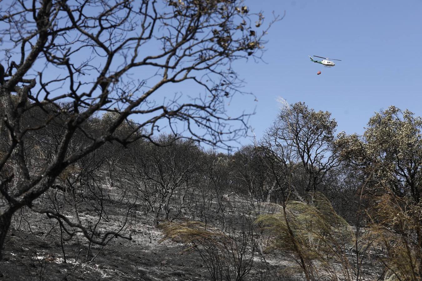 La extinción del incendio forestal de Villaharta, en imágenes