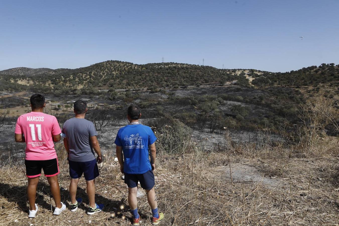 La extinción del incendio forestal de Villaharta, en imágenes