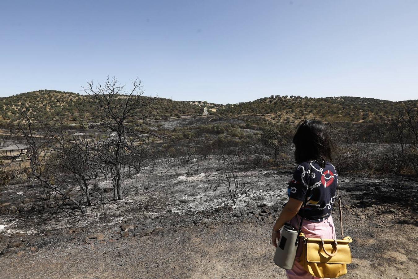 La extinción del incendio forestal de Villaharta, en imágenes