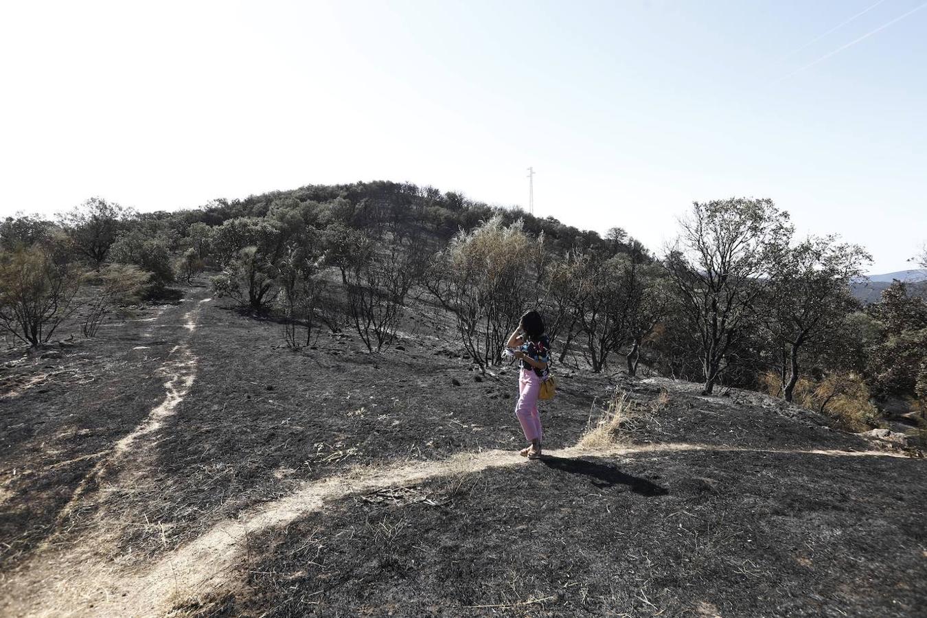 La extinción del incendio forestal de Villaharta, en imágenes