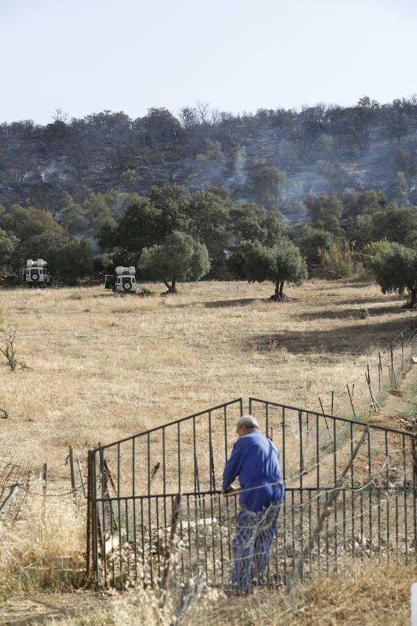 La extinción del incendio forestal de Villaharta, en imágenes