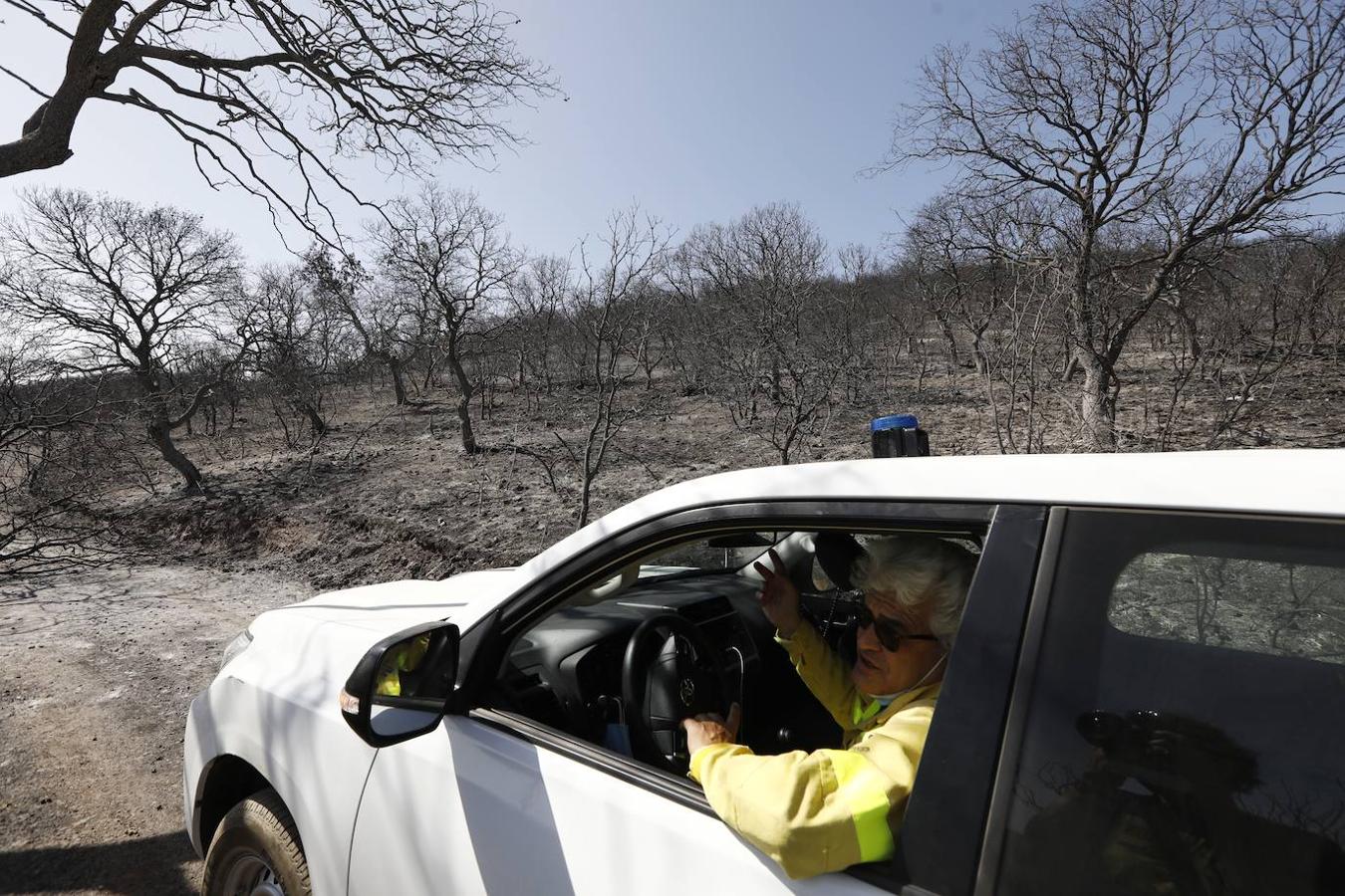 La extinción del incendio forestal de Villaharta, en imágenes