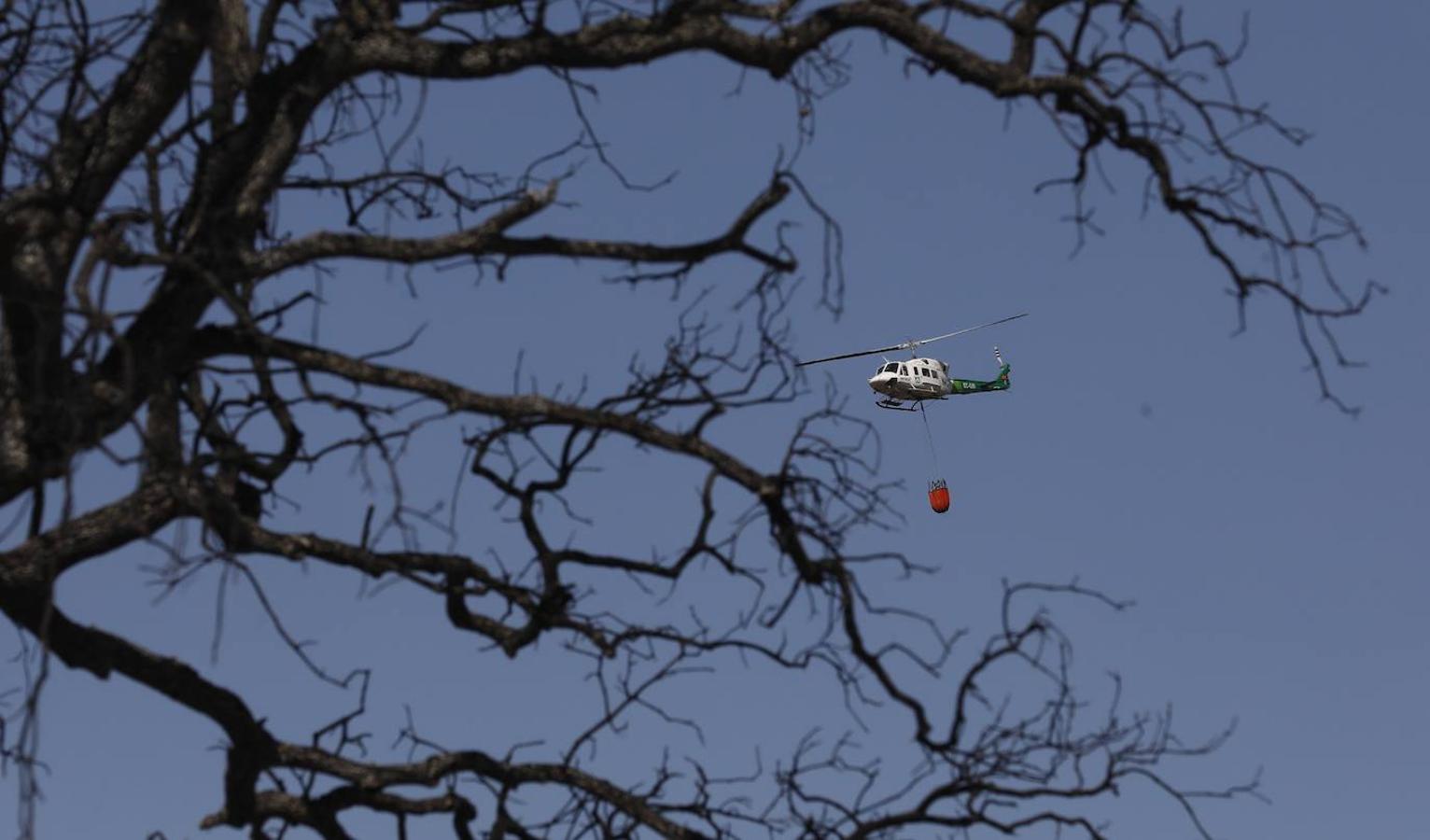 La extinción del incendio forestal de Villaharta, en imágenes