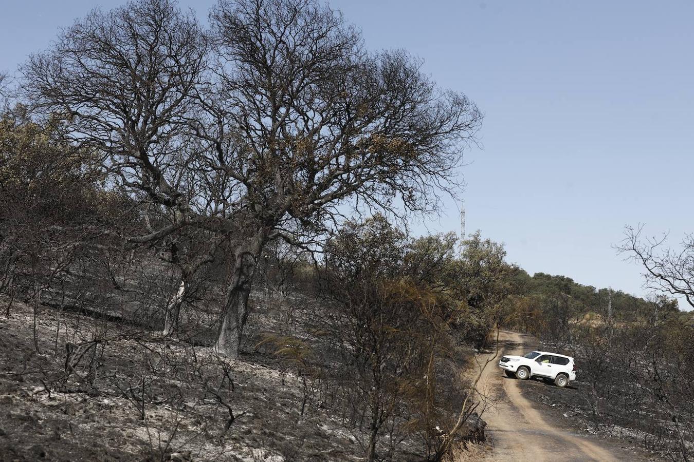 La extinción del incendio forestal de Villaharta, en imágenes