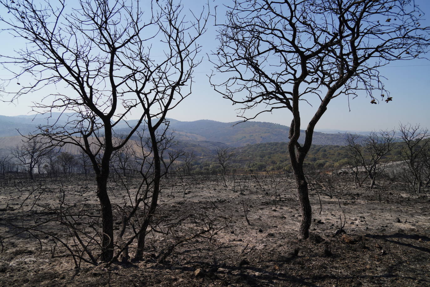 El incendio forestal de Alcaracejos, en imágenes