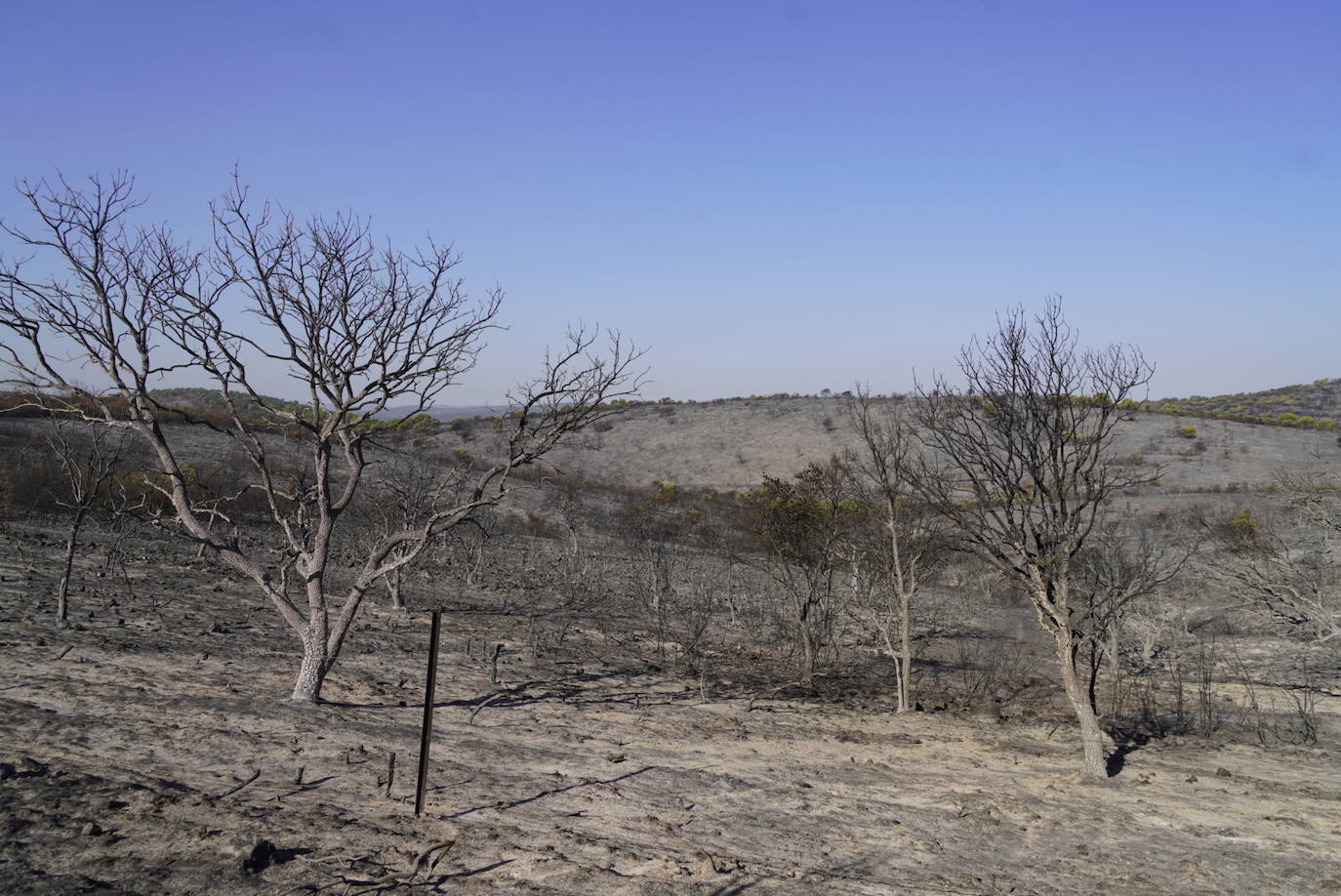 El incendio forestal de Alcaracejos, en imágenes