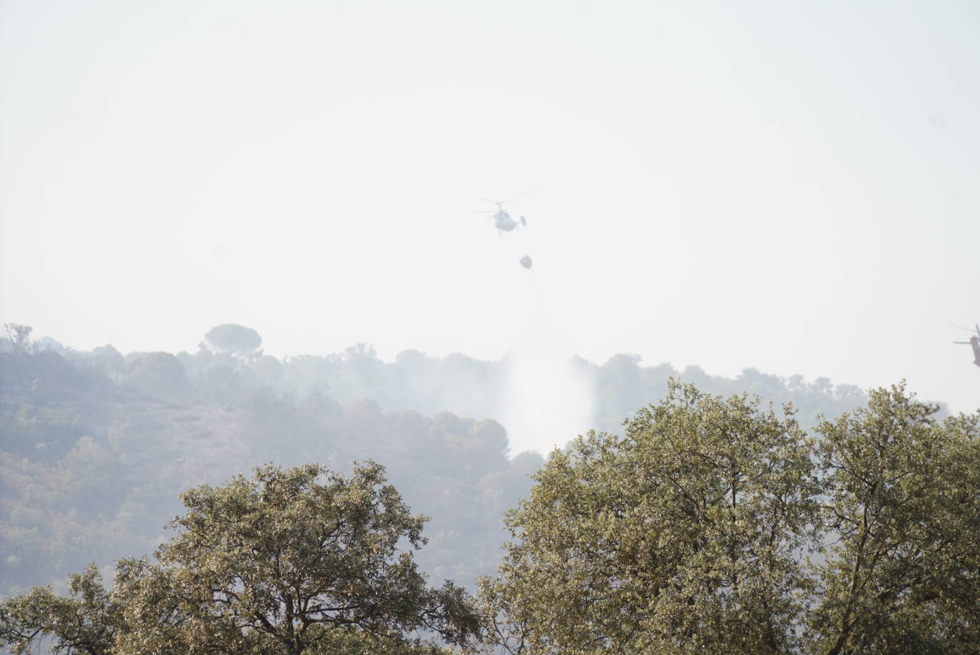 El incendio forestal de Alcaracejos, en imágenes