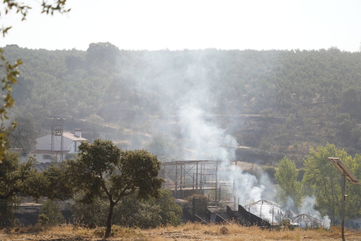 El incendio forestal de Alcaracejos, en imágenes