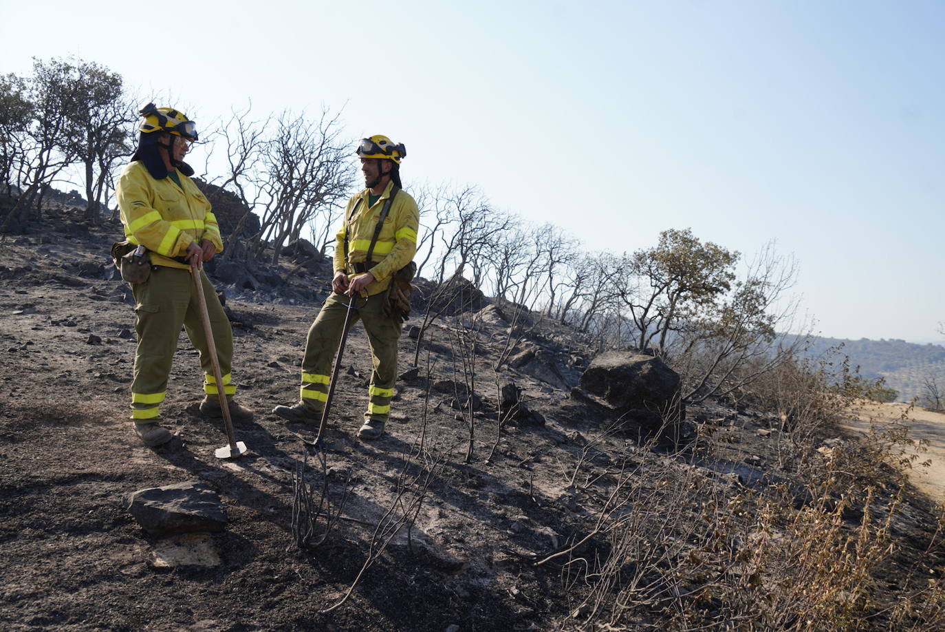 El incendio forestal de Alcaracejos, en imágenes