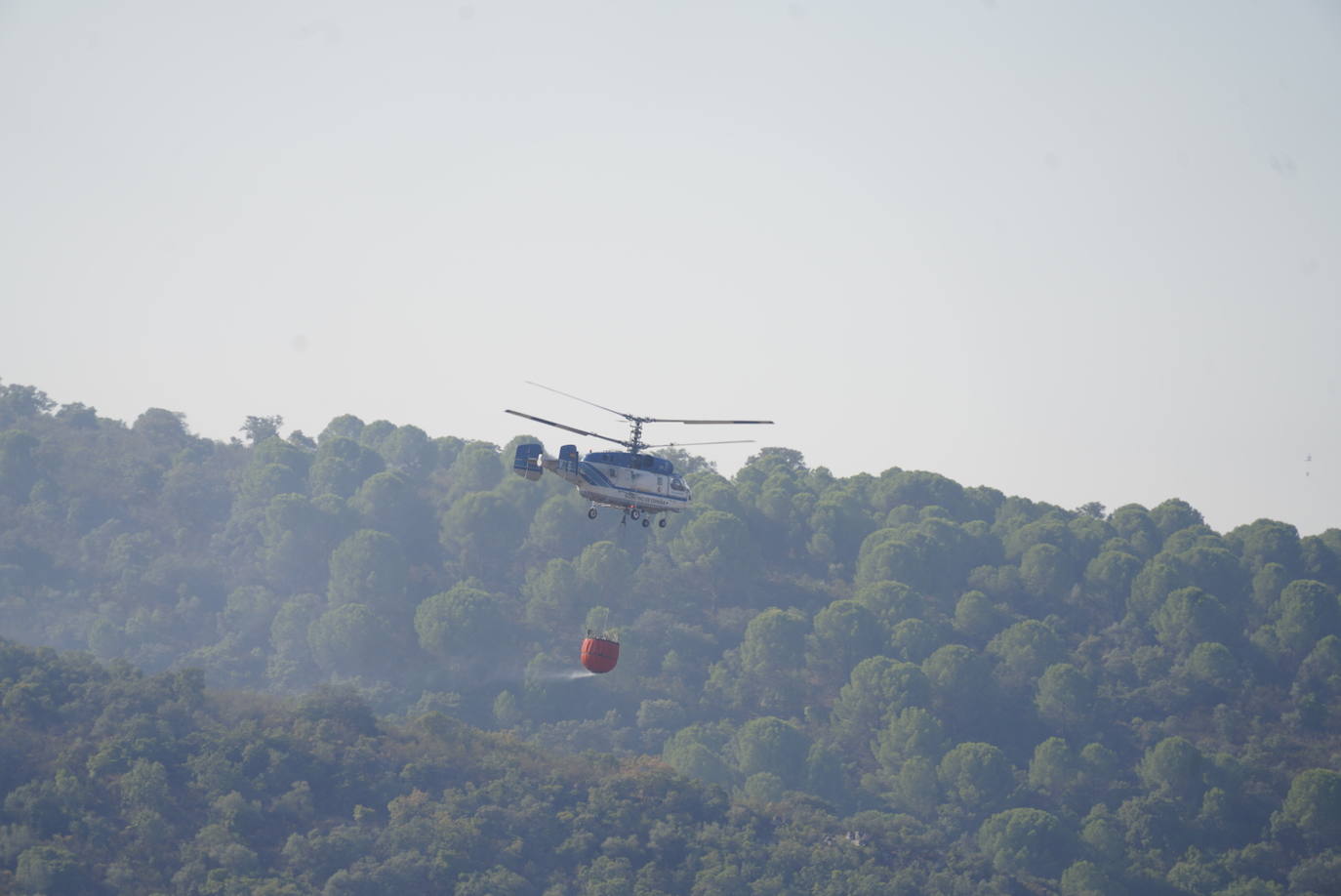 El incendio forestal de Alcaracejos, en imágenes