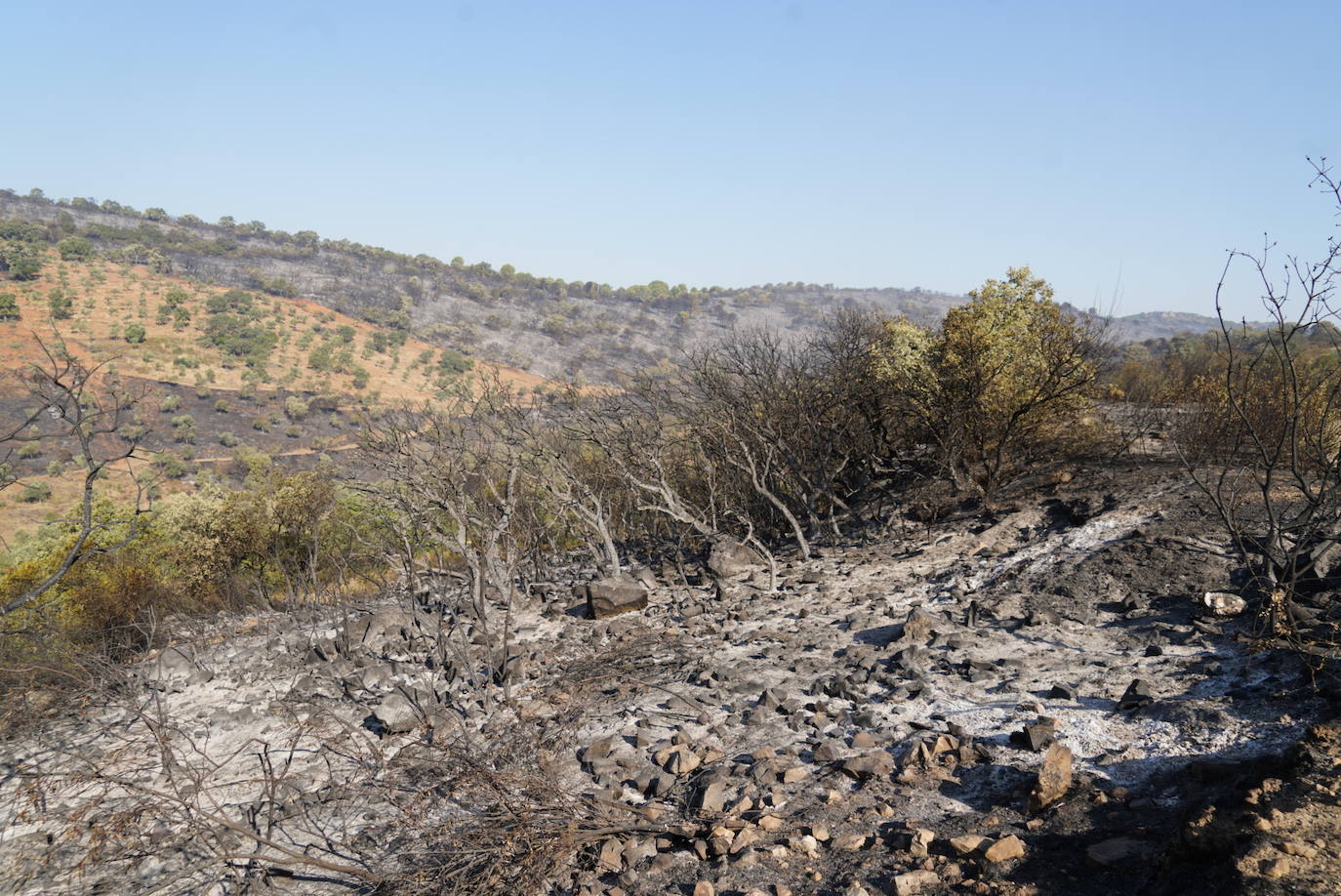 El incendio forestal de Alcaracejos, en imágenes