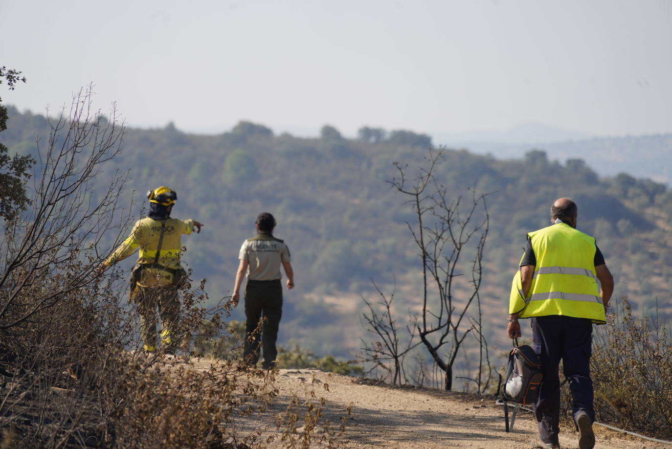 El incendio forestal de Alcaracejos, en imágenes