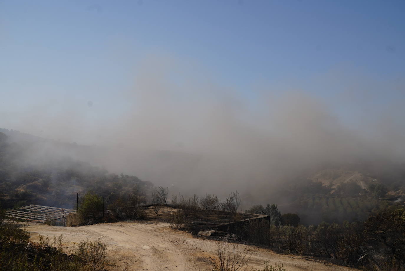 El incendio forestal de Alcaracejos, en imágenes