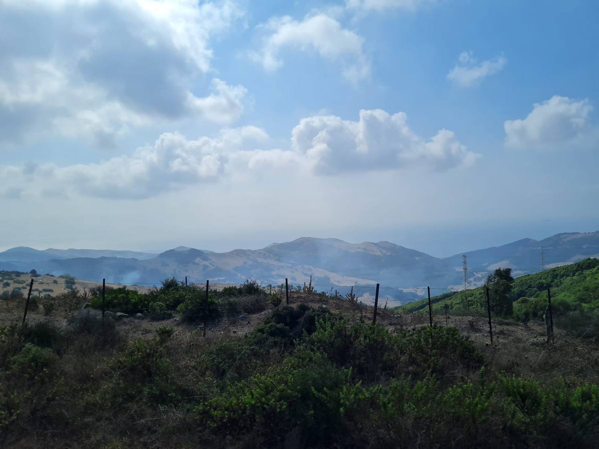 Fotos: El incendio de Tarifa se reactiva a causa del viento