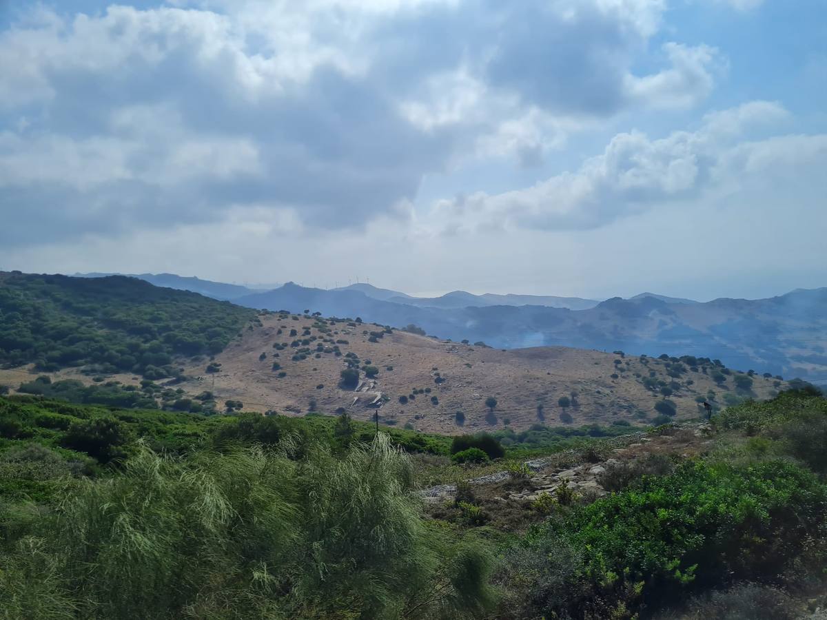 Fotos: El incendio de Tarifa se reactiva a causa del viento