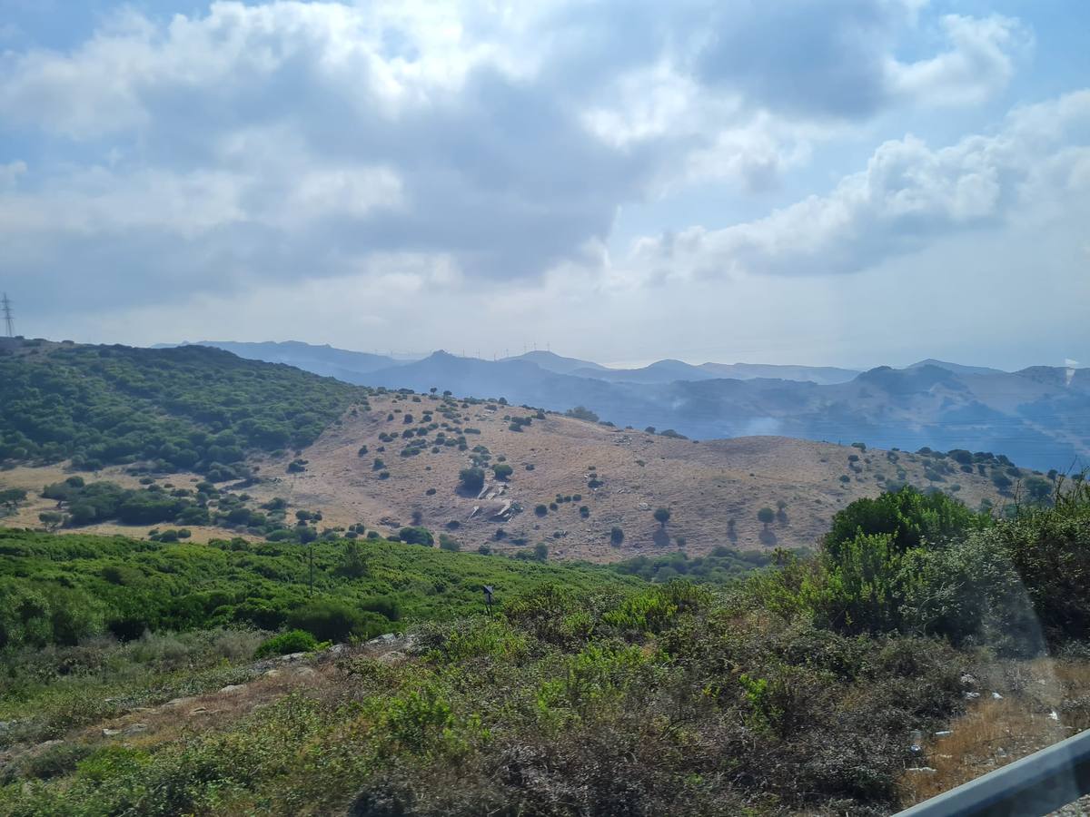 Fotos: El incendio de Tarifa se reactiva a causa del viento