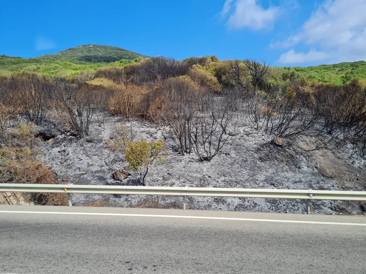 Fotos: El incendio de Tarifa se reactiva a causa del viento