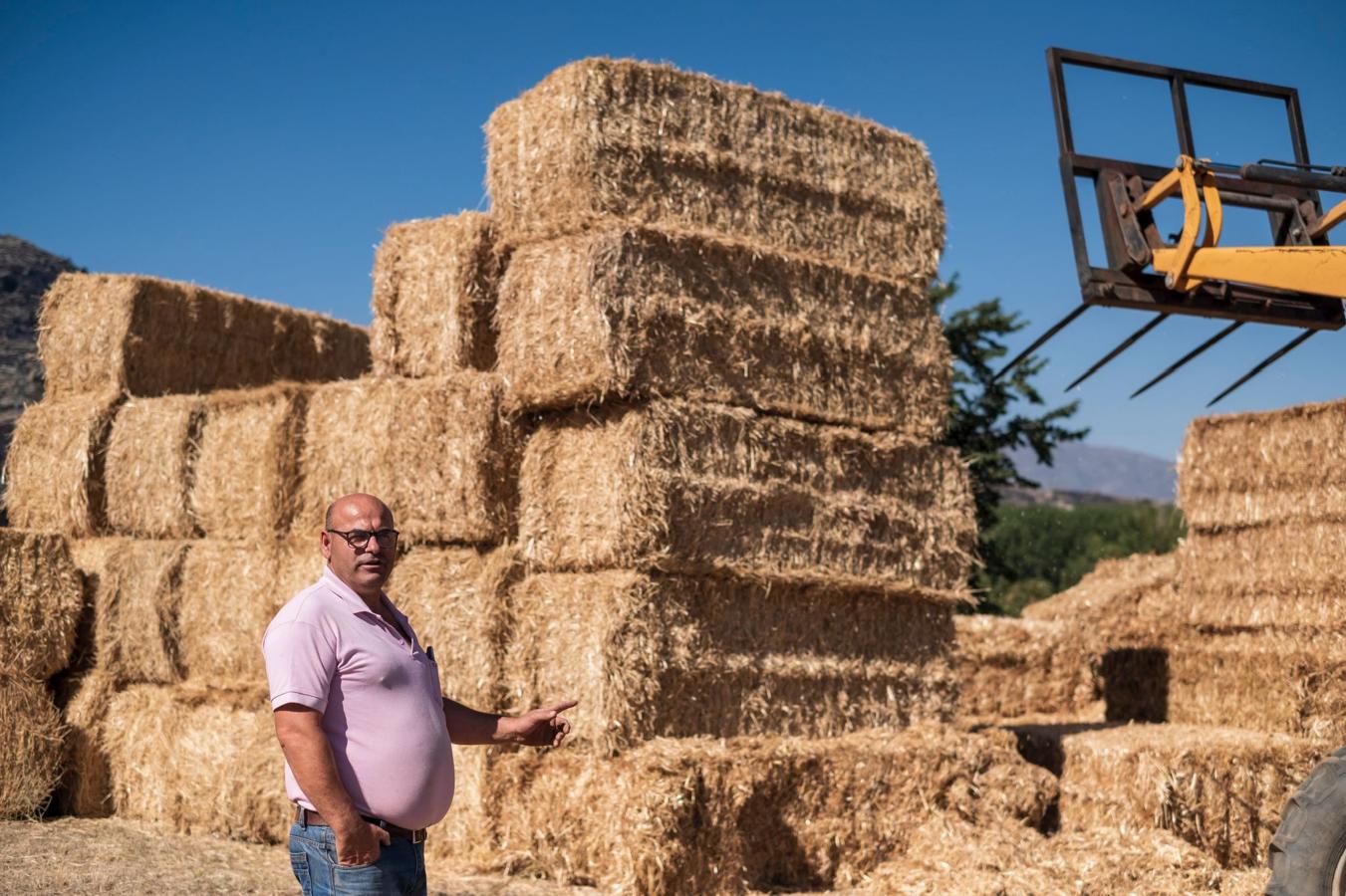 El camionero José María Sánchez, de Hermanos Núñez