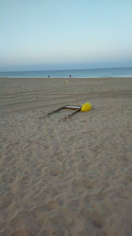 Fotos: Vandalismo en la playa de La Barrosa en Chiclana