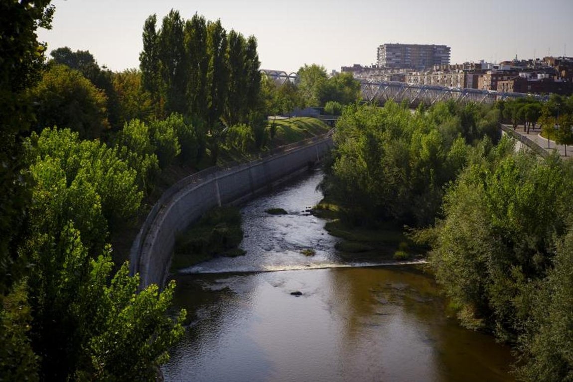 9.. La flora y la fauna han proliferado en las islas y bosques de ribera, donde ya conviven más de 90 especies de aves