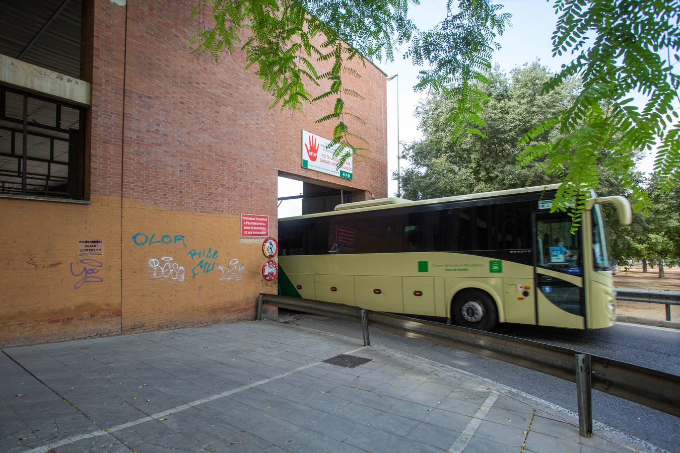 Suciedad y abandono en los alrededores del aeropuerto y las estaciones de tren y autobús de Sevilla