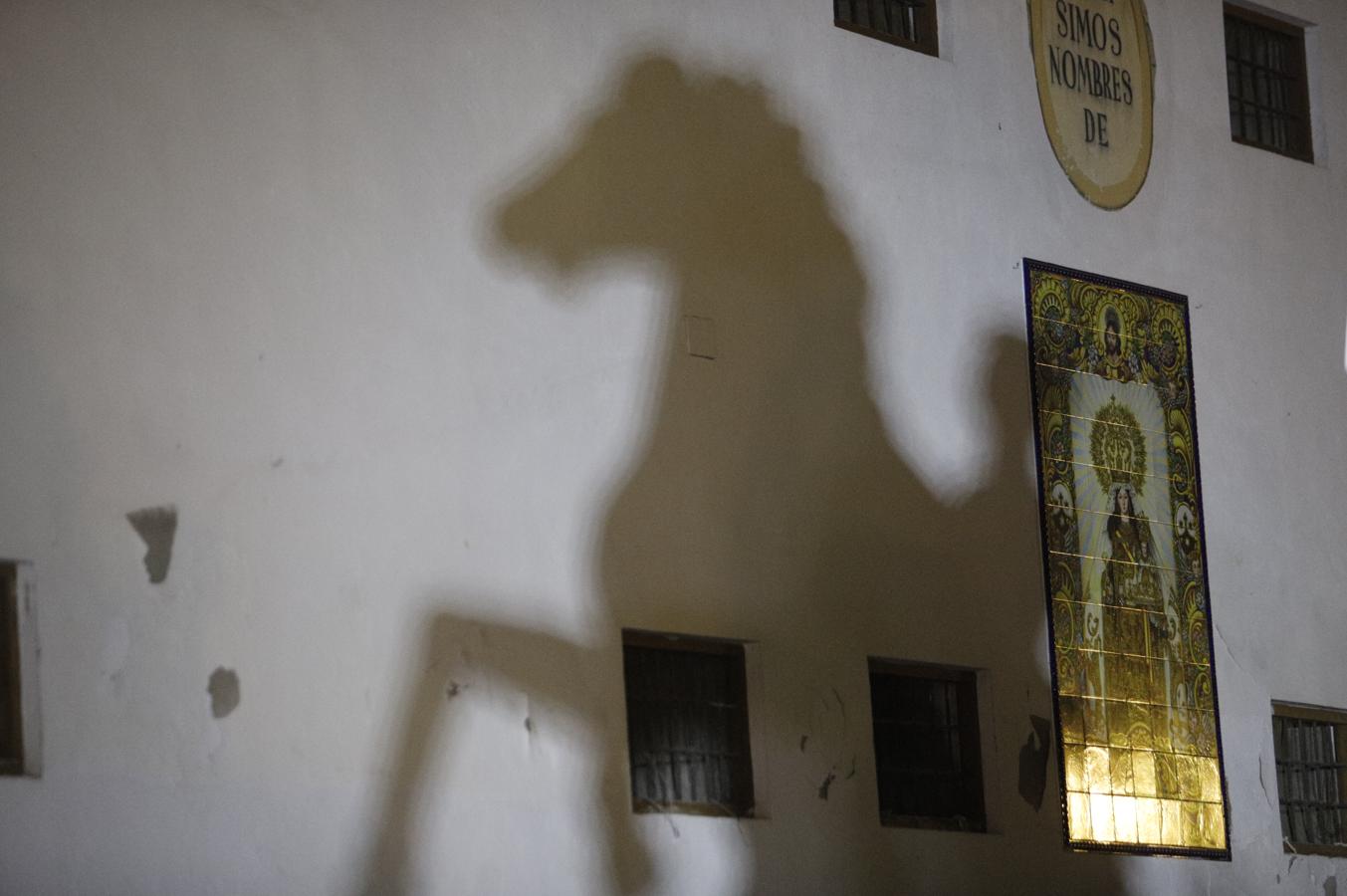 Homenaje a Manolete en el barrio torero de Santa Marina, en imágenes