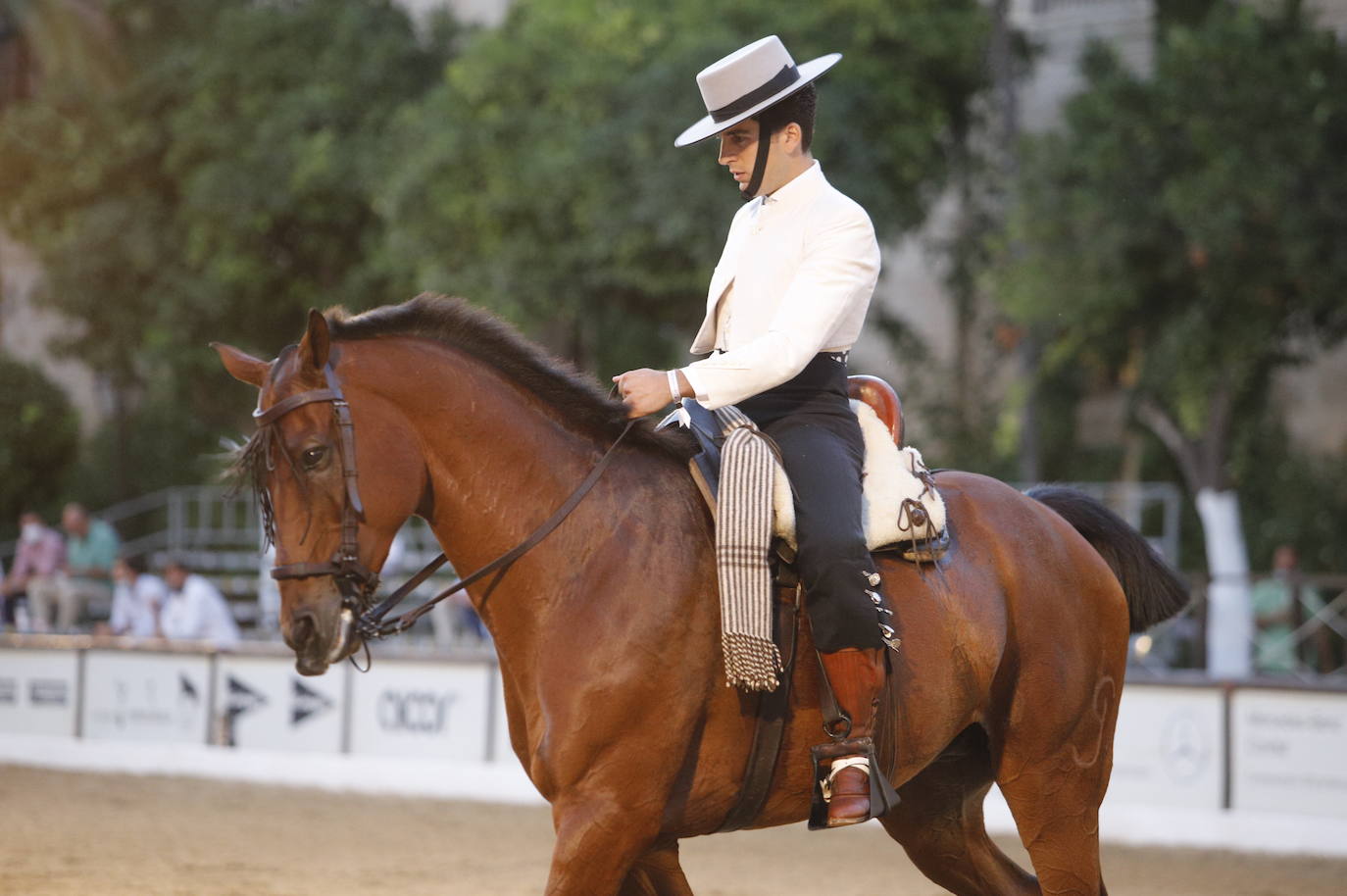 El arranque de la Copa de España de Doma Vaquera en Córdoba, en imágenes