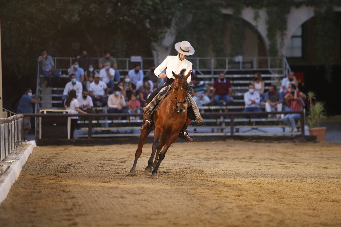 El arranque de la Copa de España de Doma Vaquera en Córdoba, en imágenes