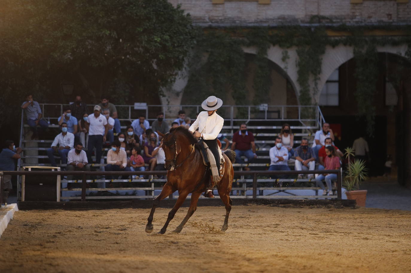 El arranque de la Copa de España de Doma Vaquera en Córdoba, en imágenes