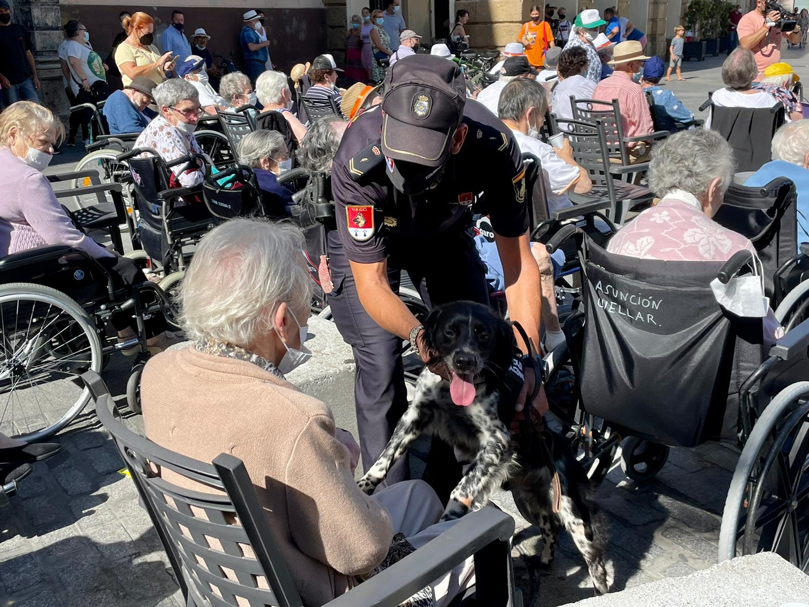 En imágenes: Exhibición policial para mayores de la Residencia Fundación Geron en la Plaza de San Juan de Dios