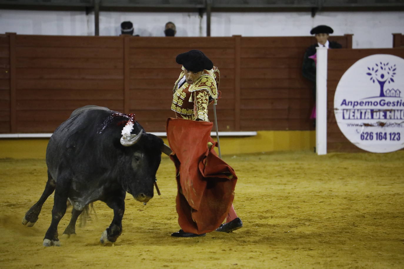 La corrida de toros en Priego de Córdoba, en imágenes