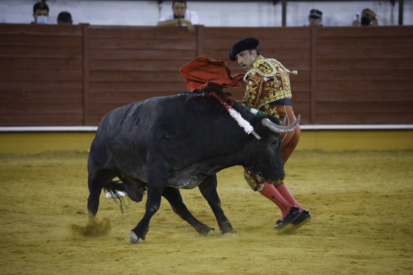 La corrida de toros en Priego de Córdoba, en imágenes