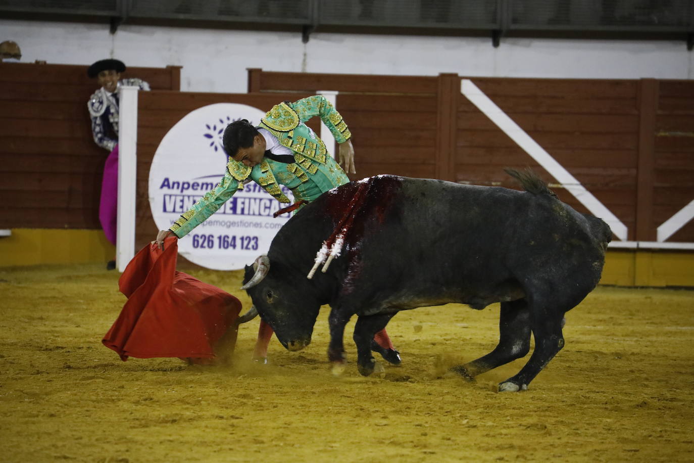 La corrida de toros en Priego de Córdoba, en imágenes