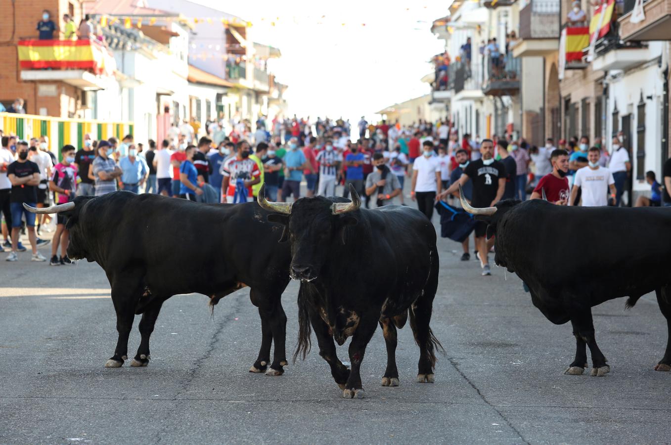 La emoción vuelve a Villaseca