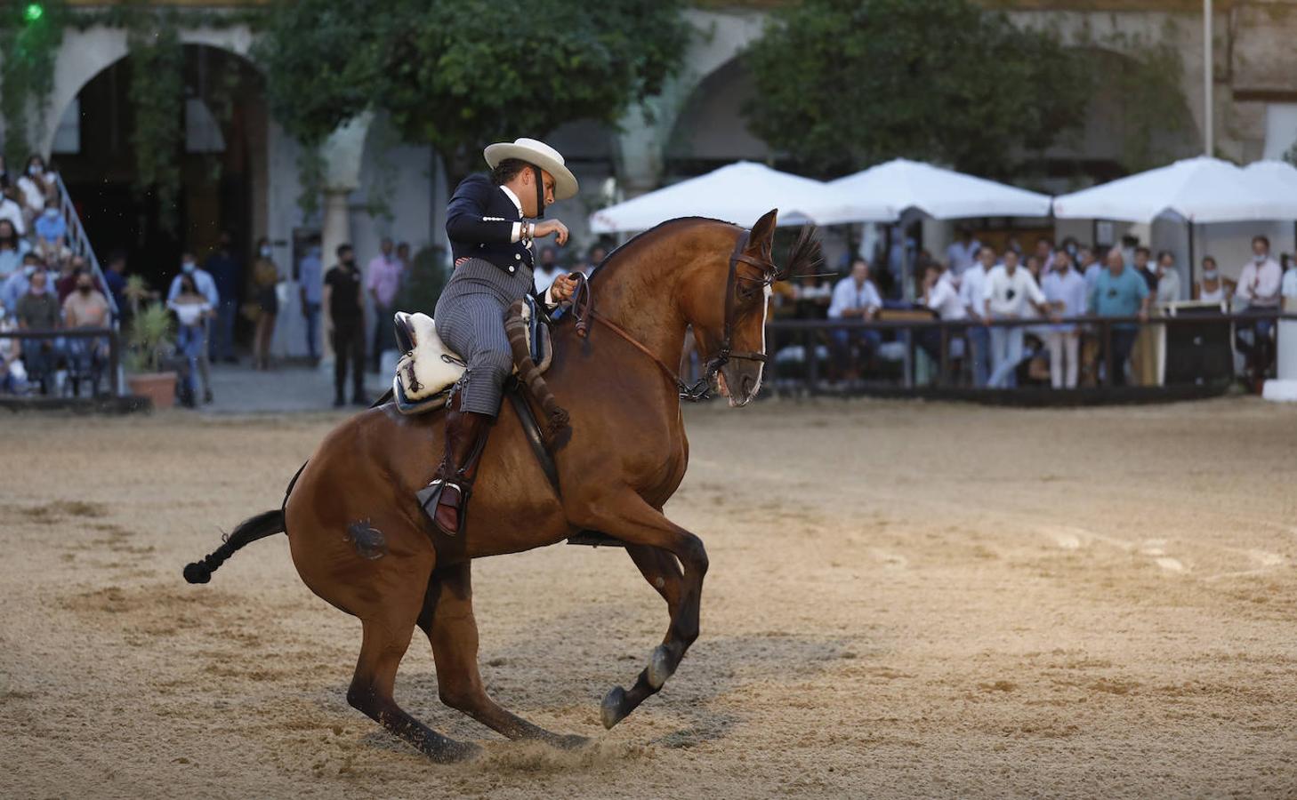 La final del Concurso Nacional de Doma Vaquera en Córdoba, en imágenes