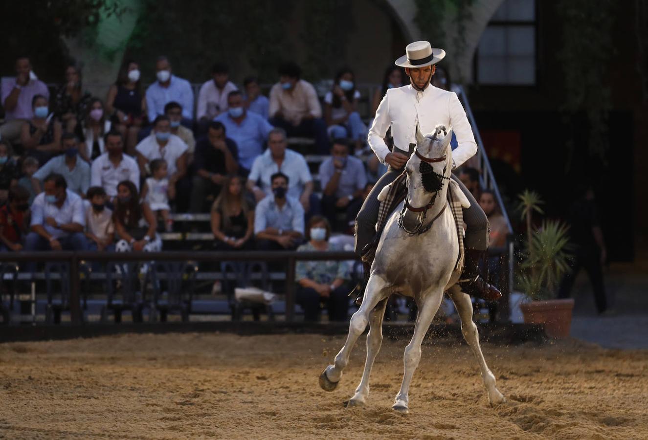 La final del Concurso Nacional de Doma Vaquera en Córdoba, en imágenes