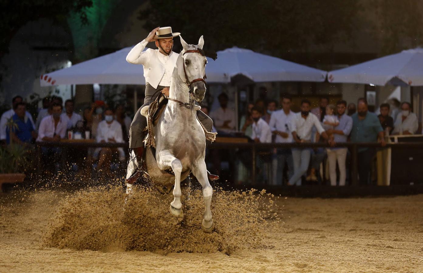 La final del Concurso Nacional de Doma Vaquera en Córdoba, en imágenes