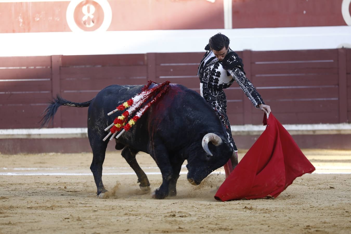 Toros | En imágenes, el triunfo de Aguado y Juan Ortega en Lucena