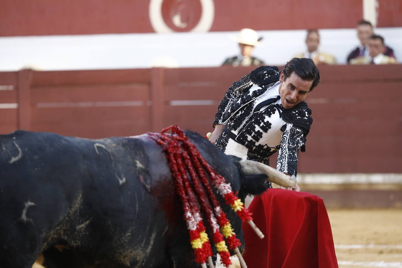 Toros | En imágenes, el triunfo de Aguado y Juan Ortega en Lucena