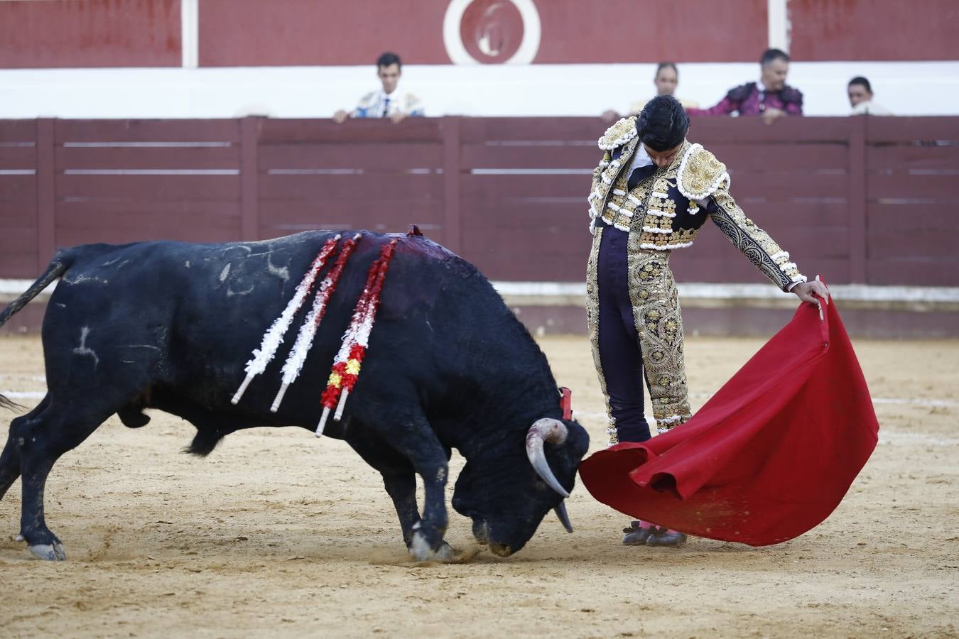 Toros | En imágenes, el triunfo de Aguado y Juan Ortega en Lucena