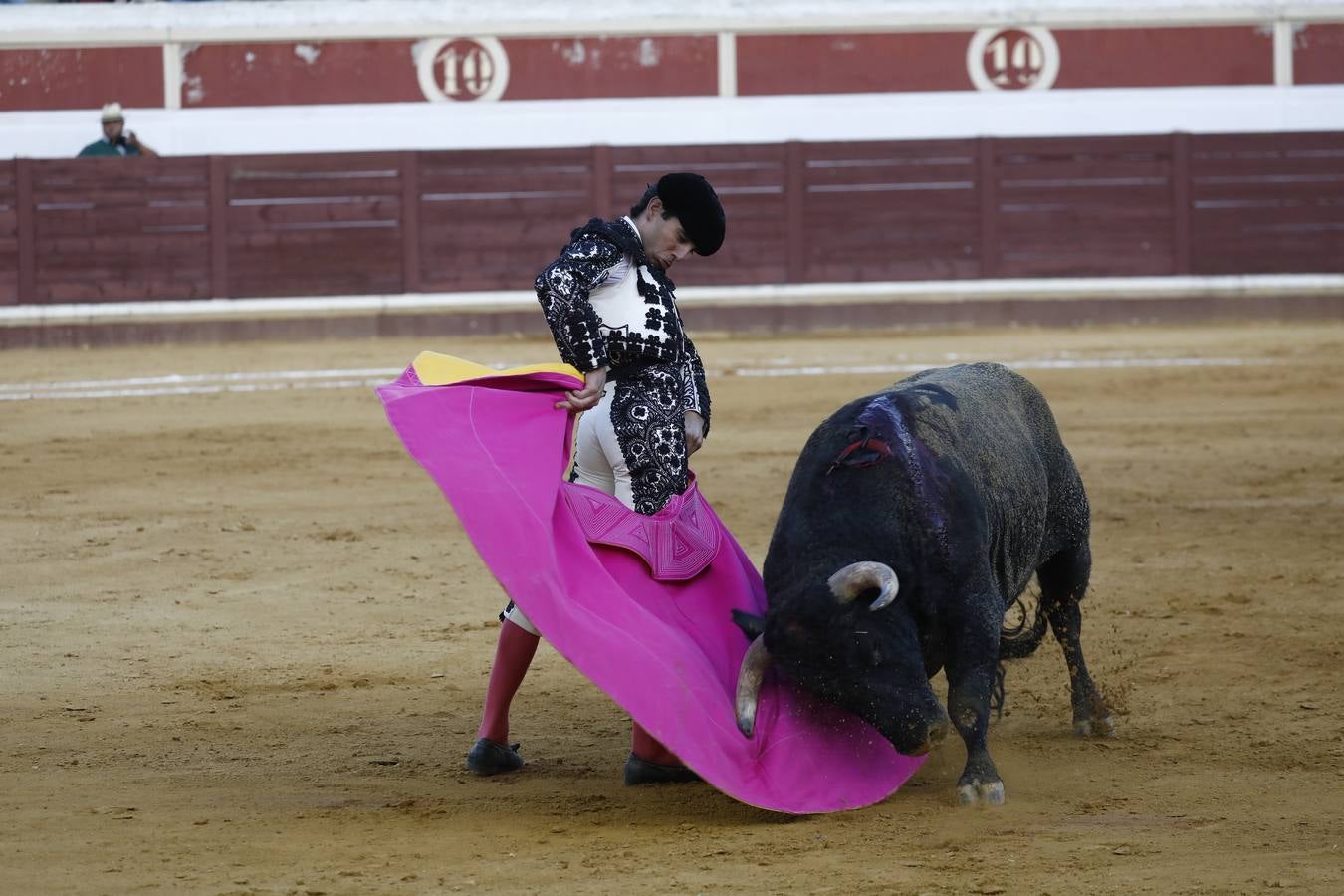 Toros | En imágenes, el triunfo de Aguado y Juan Ortega en Lucena