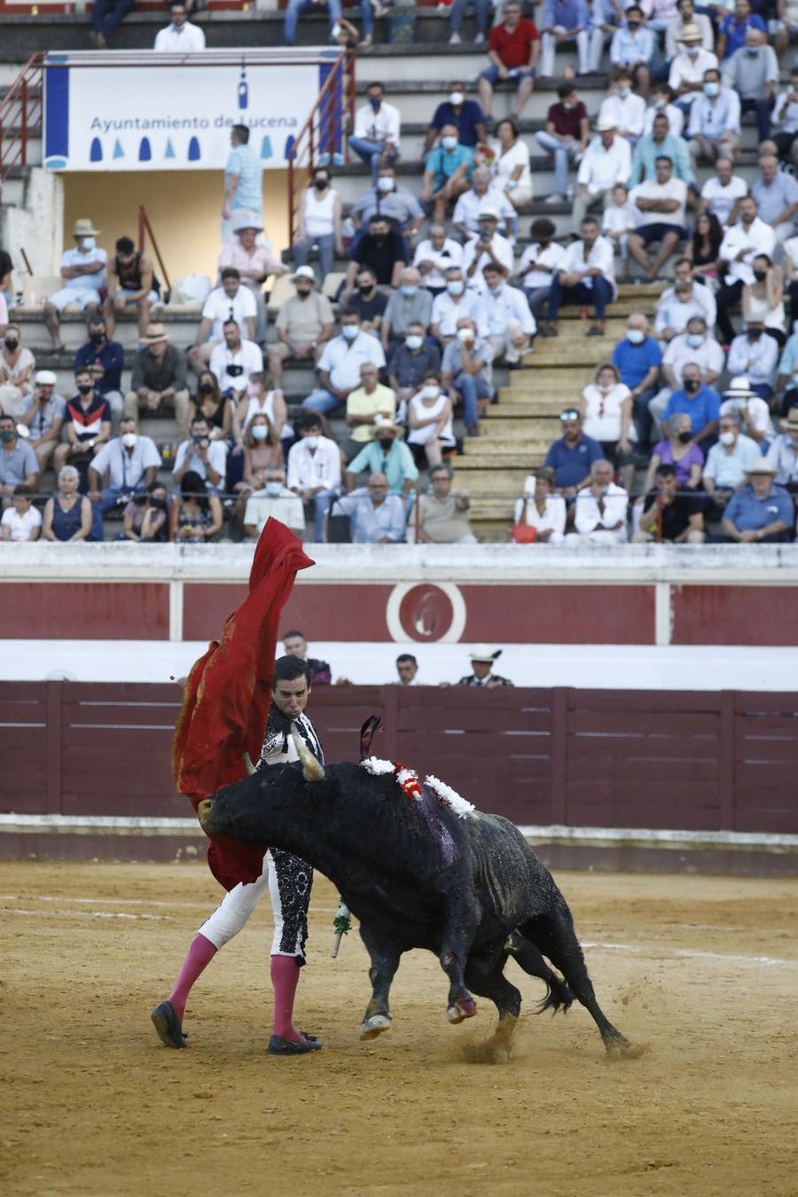 Toros | En imágenes, el triunfo de Aguado y Juan Ortega en Lucena