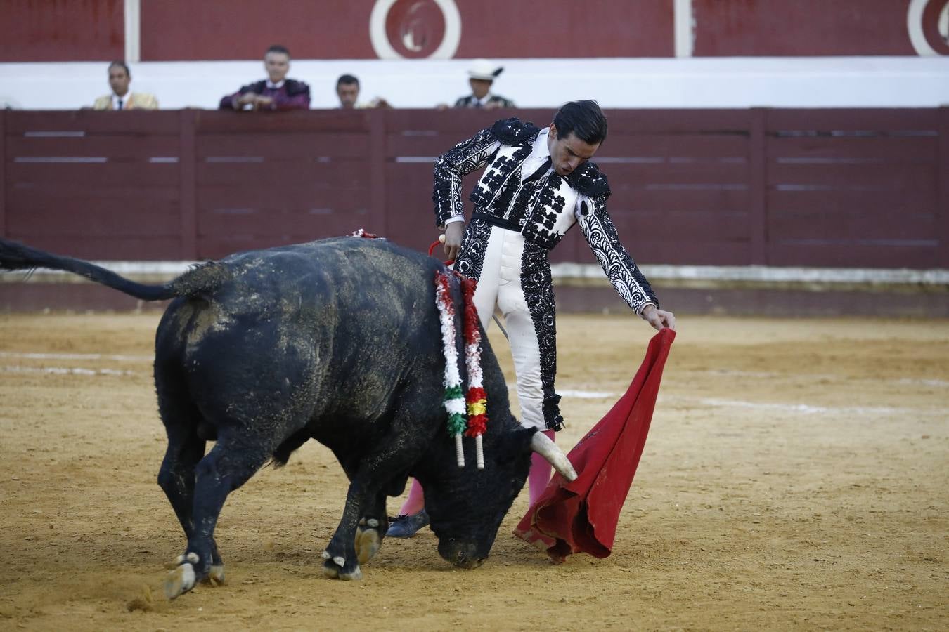 Toros | En imágenes, el triunfo de Aguado y Juan Ortega en Lucena